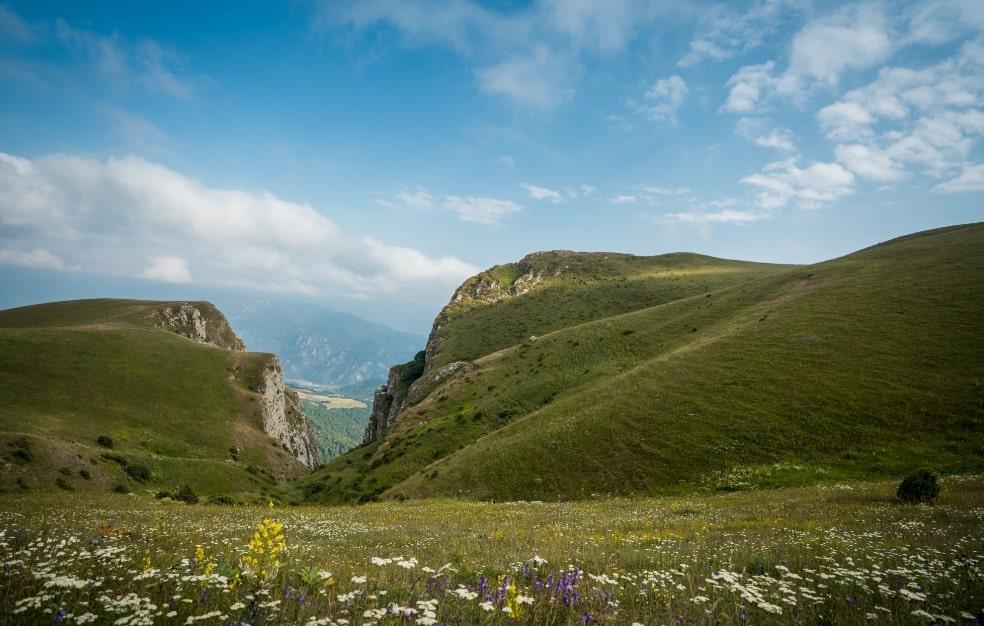 Armenia_Travel_Nature_wildlfe_25-min
